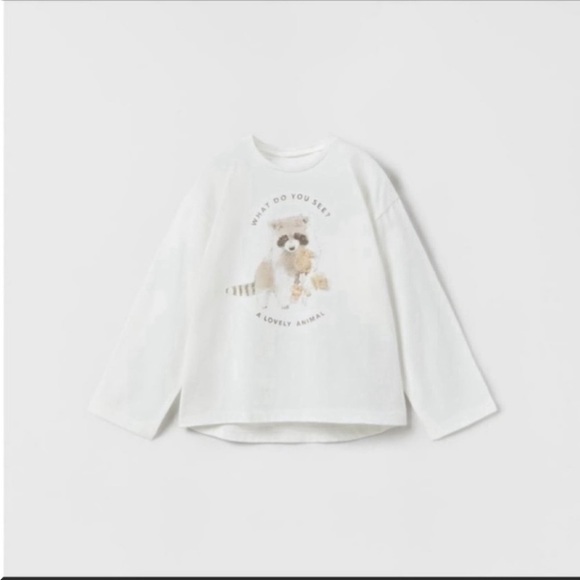 Zara Other - Zara Tulle Appliqué T-Shirt